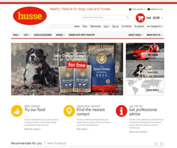 Husse website screenshot